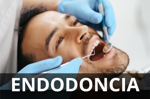 Endodoncia
