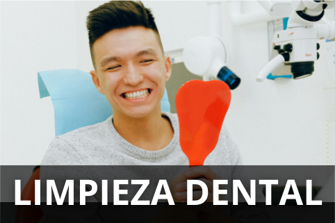 Endodoncia